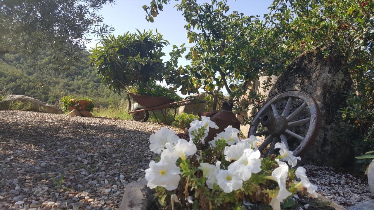 B&B Casa Vacanza Centro Sardegna Sorgono Extérieur photo