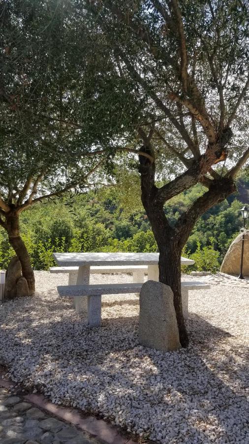 B&B Casa Vacanza Centro Sardegna Sorgono Extérieur photo