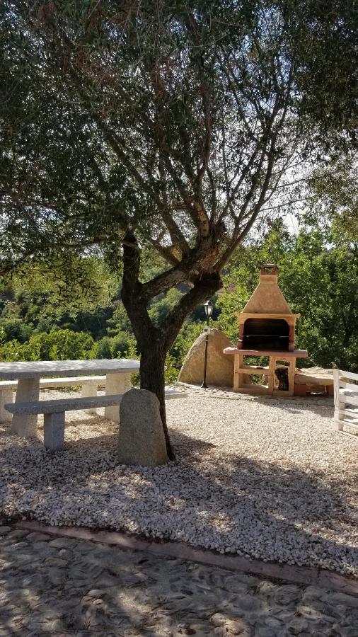 B&B Casa Vacanza Centro Sardegna Sorgono Extérieur photo