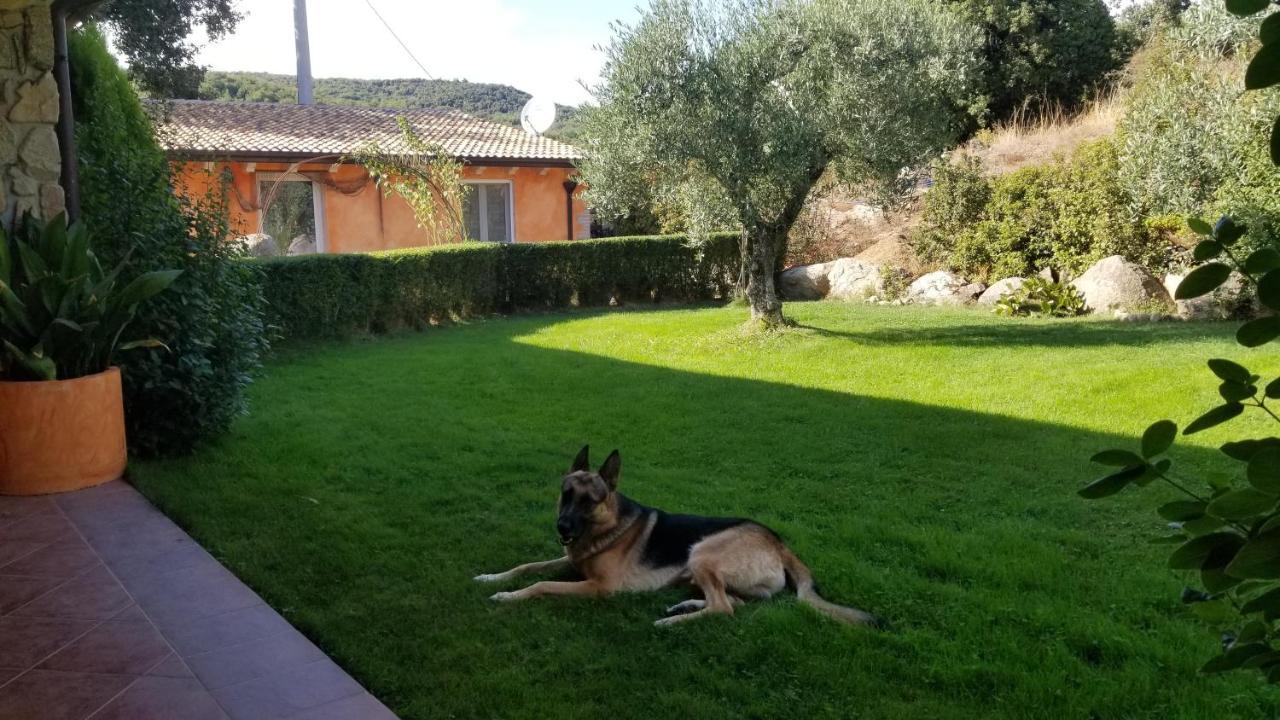 B&B Casa Vacanza Centro Sardegna Sorgono Extérieur photo